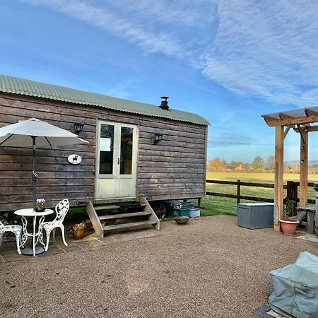 Bron Hafren Bed & Breakfast Montgomery Dış mekan fotoğraf